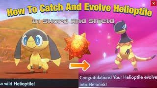 helioptile evolution shield|Helioptile evolution guide .